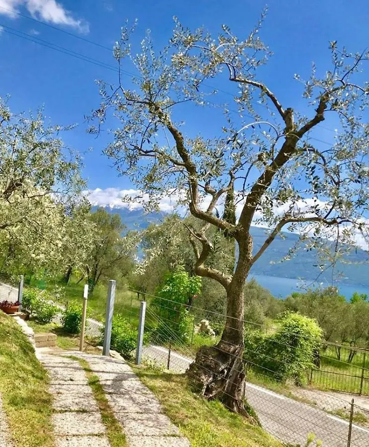 Caselli Vigole Al Sole Toscolano Maderno Aparthotel